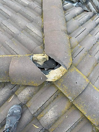 roofinspections01 350